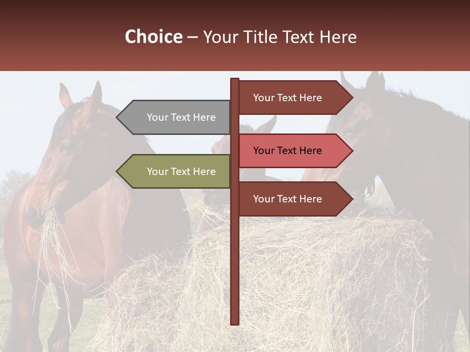 Home Condition Remote PowerPoint Template