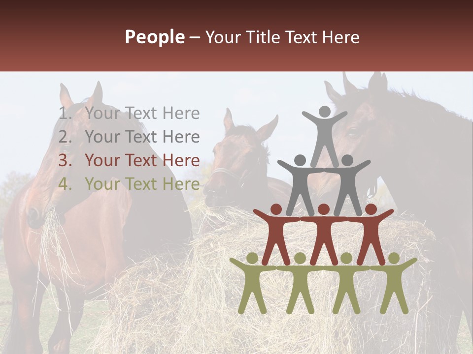 Home Condition Remote PowerPoint Template