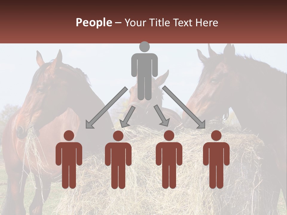 Home Condition Remote PowerPoint Template