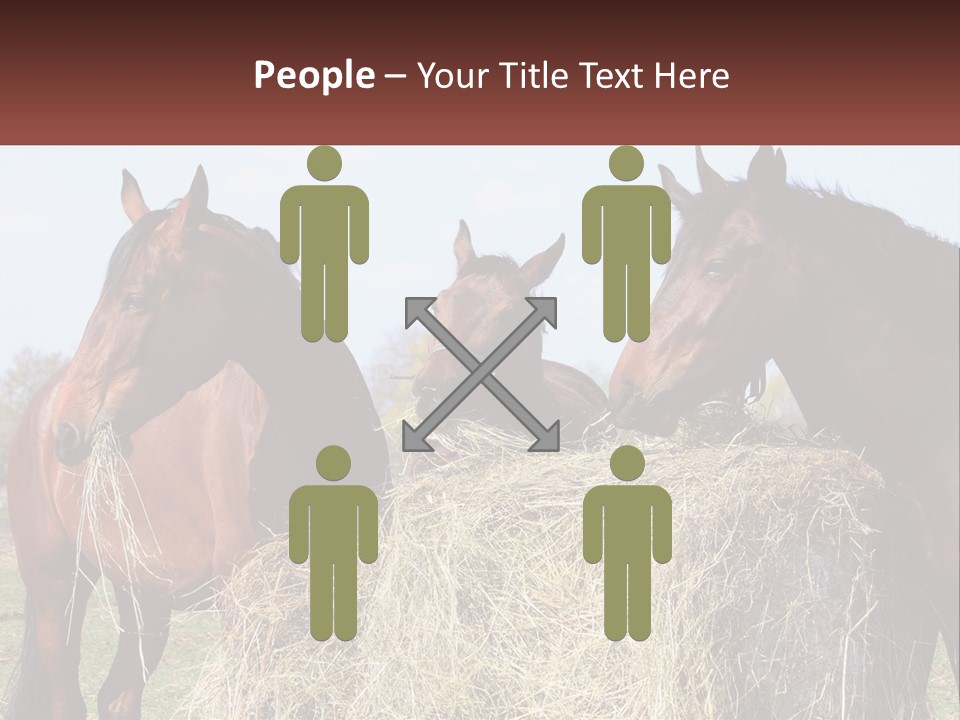 Home Condition Remote PowerPoint Template