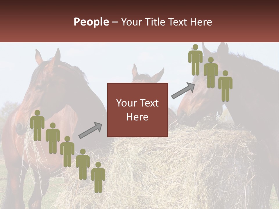 Home Condition Remote PowerPoint Template