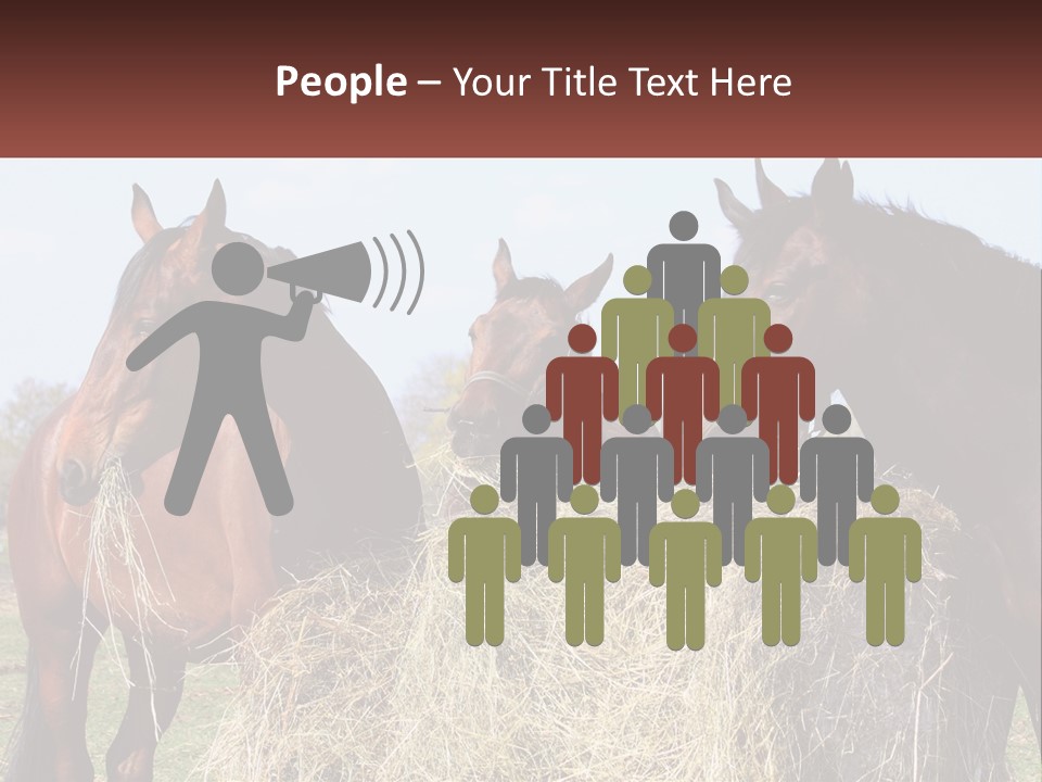 Home Condition Remote PowerPoint Template