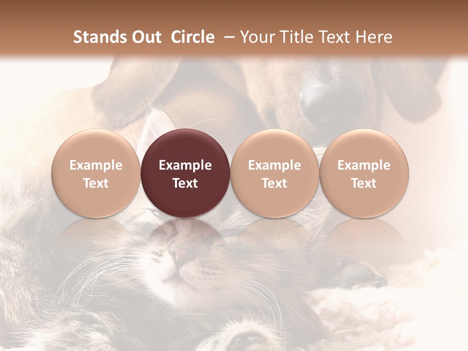 Unit Ventilation Air PowerPoint Template