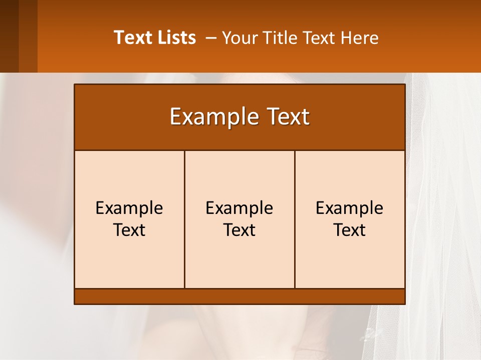 House Supply Home PowerPoint Template