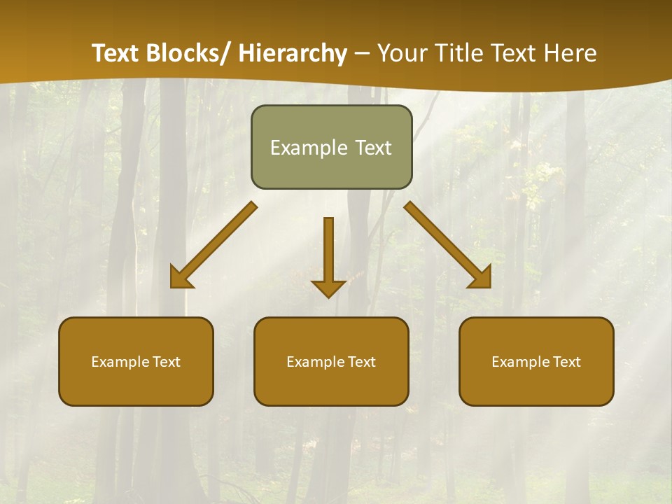 Unit Energy Temperature PowerPoint Template