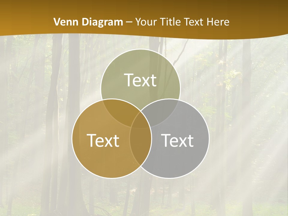 Unit Energy Temperature PowerPoint Template