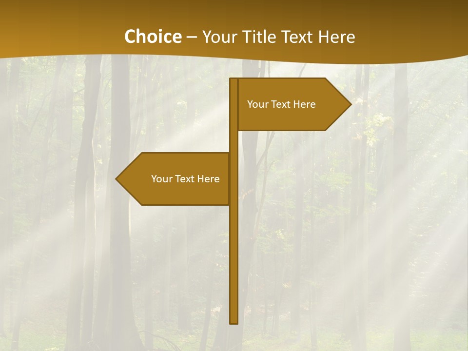 Unit Energy Temperature PowerPoint Template