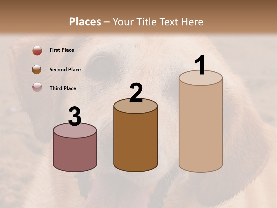 Cold Equipment Part PowerPoint Template