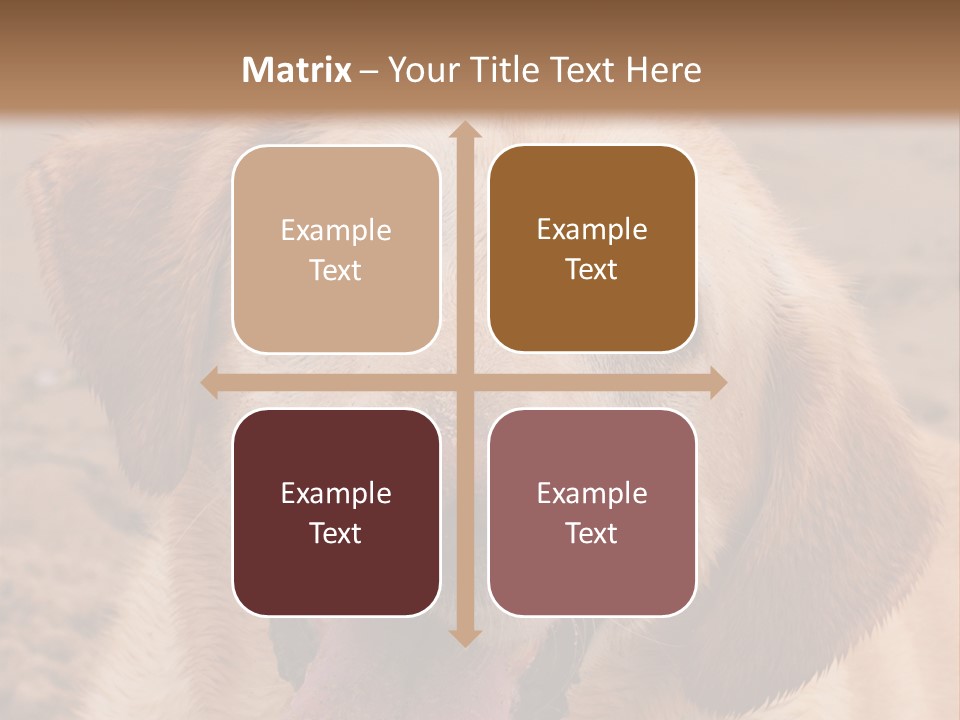 Cold Equipment Part PowerPoint Template