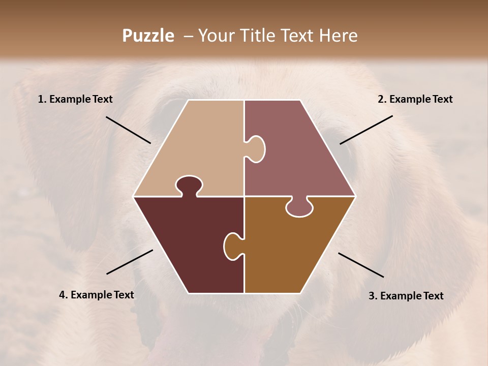 Cold Equipment Part PowerPoint Template