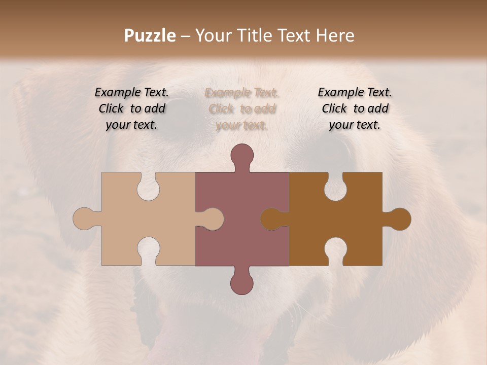 Cold Equipment Part PowerPoint Template