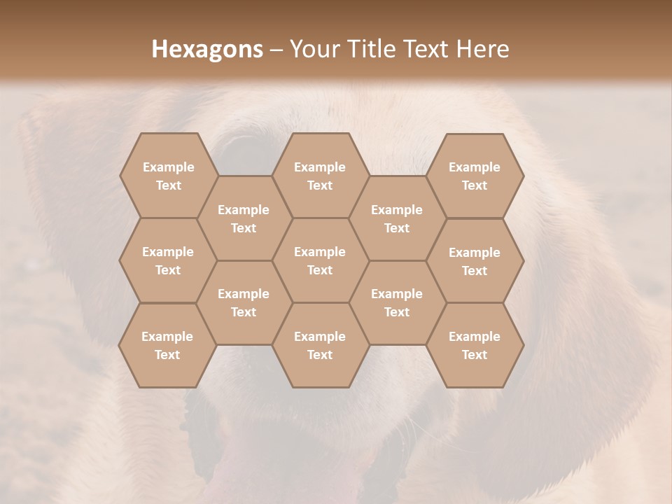 Cold Equipment Part PowerPoint Template