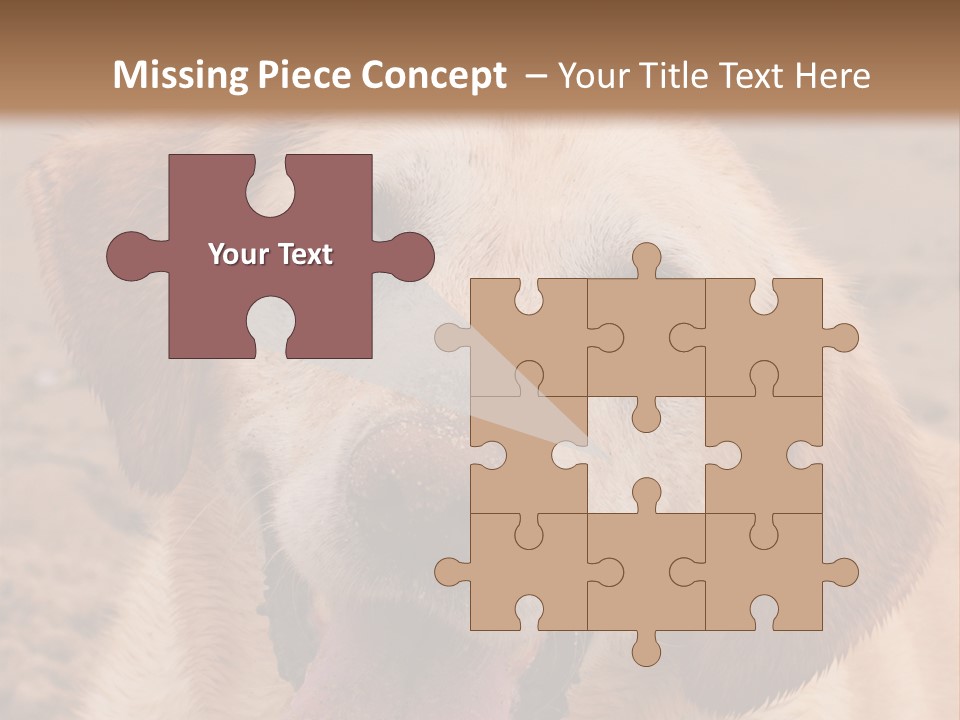 Cold Equipment Part PowerPoint Template