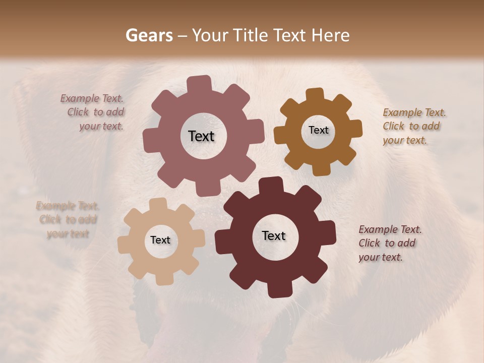 Cold Equipment Part PowerPoint Template