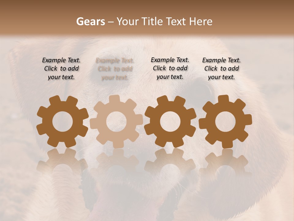 Cold Equipment Part PowerPoint Template