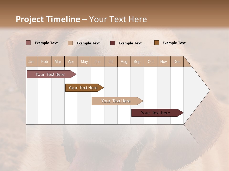 Cold Equipment Part PowerPoint Template
