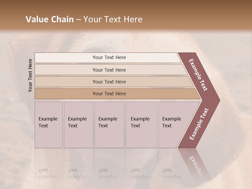 Cold Equipment Part PowerPoint Template