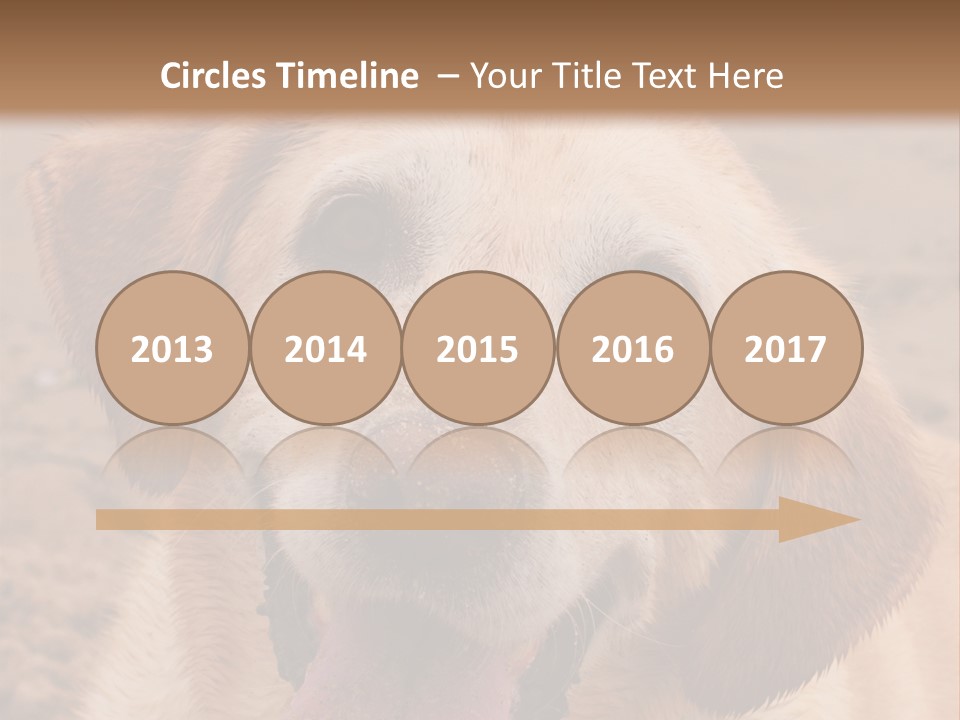 Cold Equipment Part PowerPoint Template