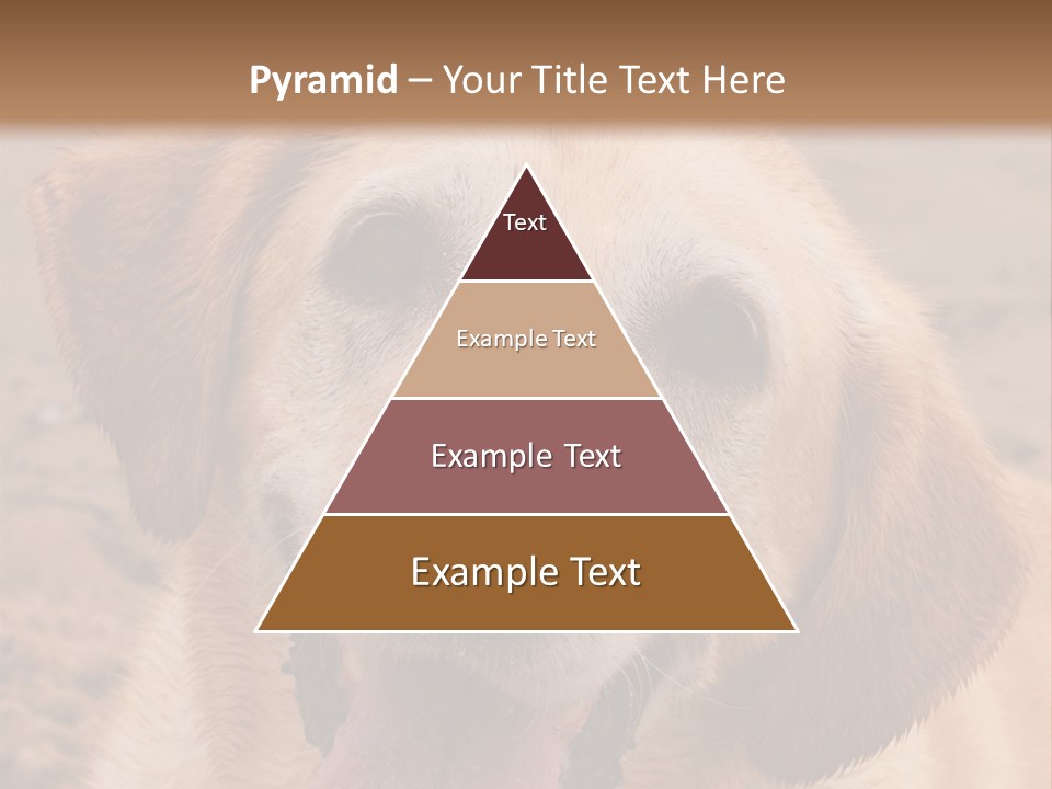 Cold Equipment Part PowerPoint Template