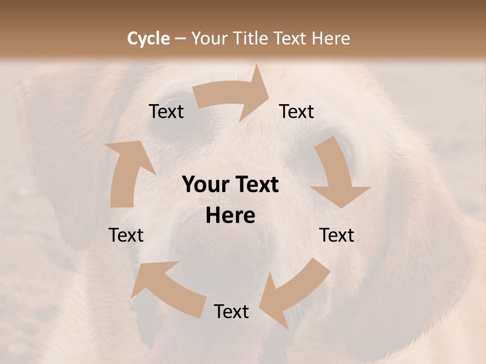 Cold Equipment Part PowerPoint Template