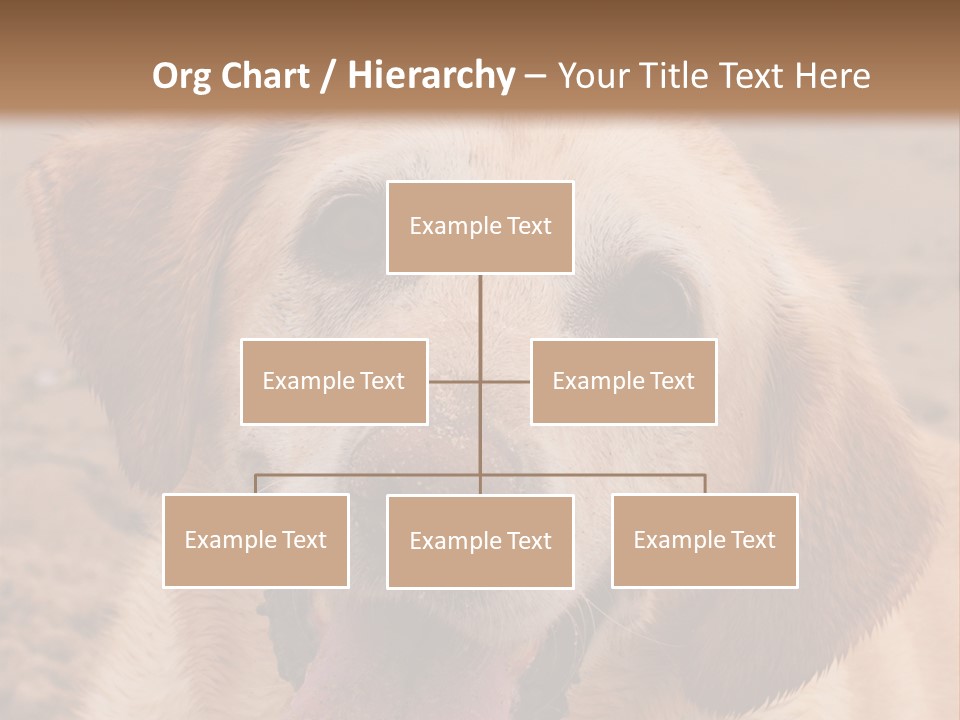 Cold Equipment Part PowerPoint Template