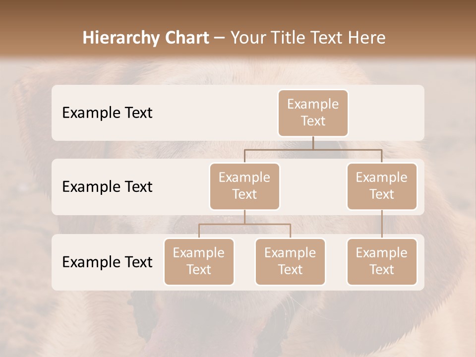 Cold Equipment Part PowerPoint Template