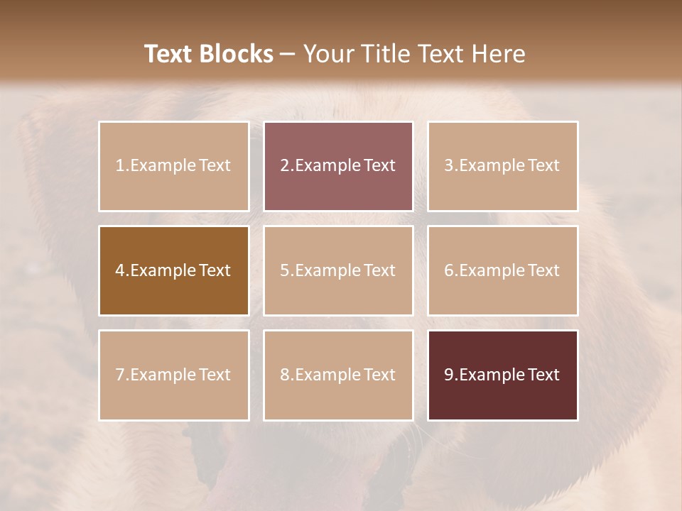 Cold Equipment Part PowerPoint Template