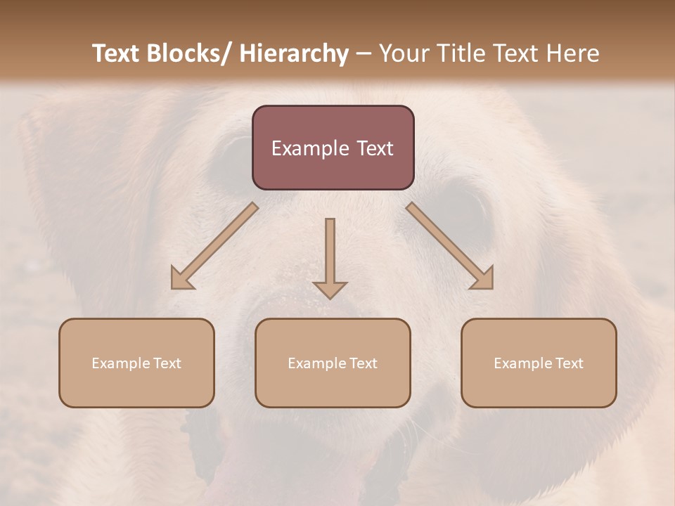 Cold Equipment Part PowerPoint Template