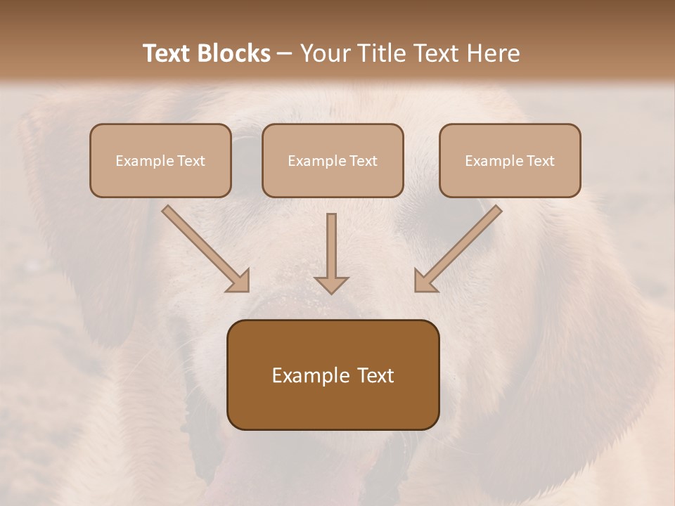 Cold Equipment Part PowerPoint Template