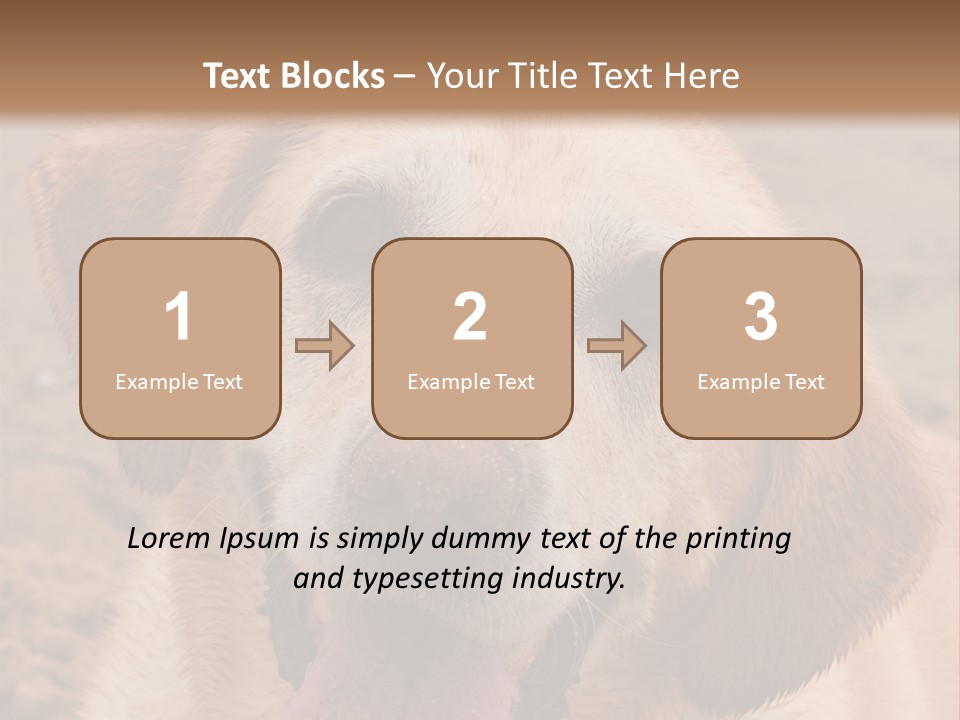 Cold Equipment Part PowerPoint Template