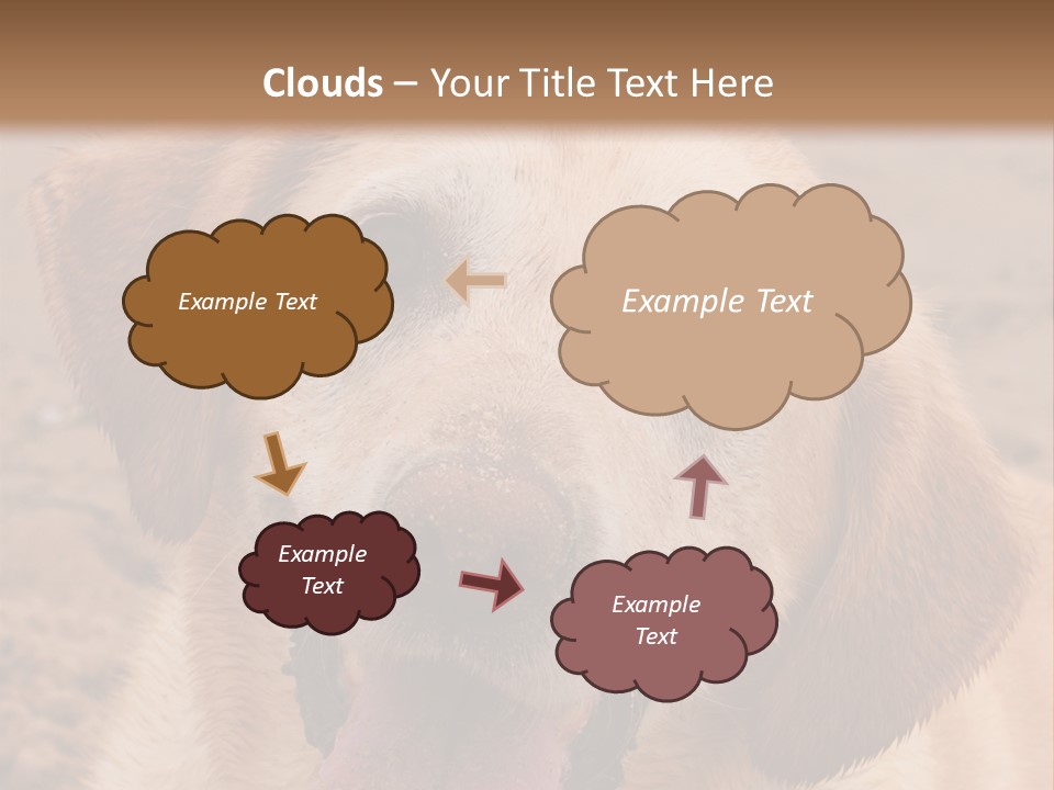 Cold Equipment Part PowerPoint Template