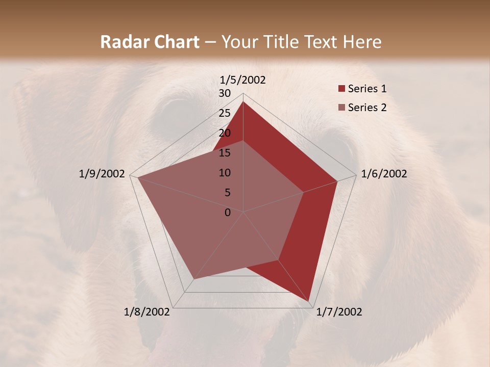 Cold Equipment Part PowerPoint Template