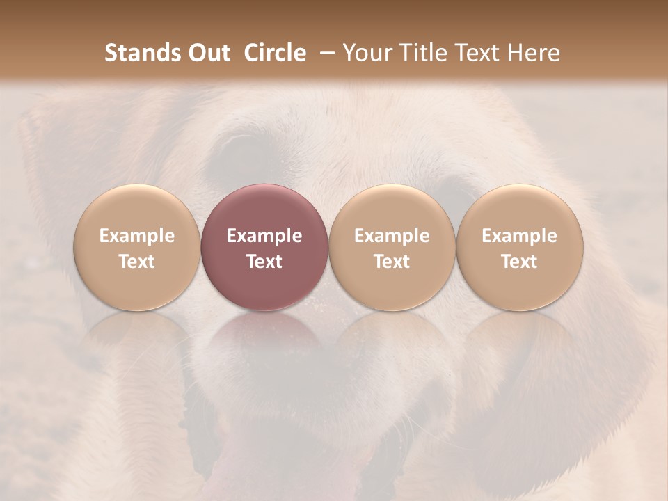 Cold Equipment Part PowerPoint Template