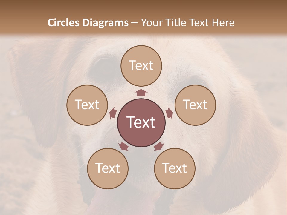 Cold Equipment Part PowerPoint Template