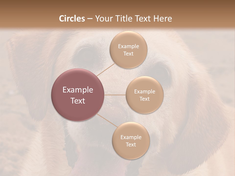 Cold Equipment Part PowerPoint Template