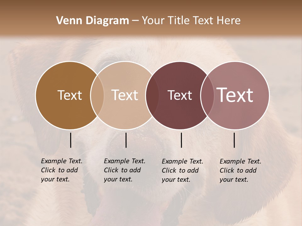 Cold Equipment Part PowerPoint Template