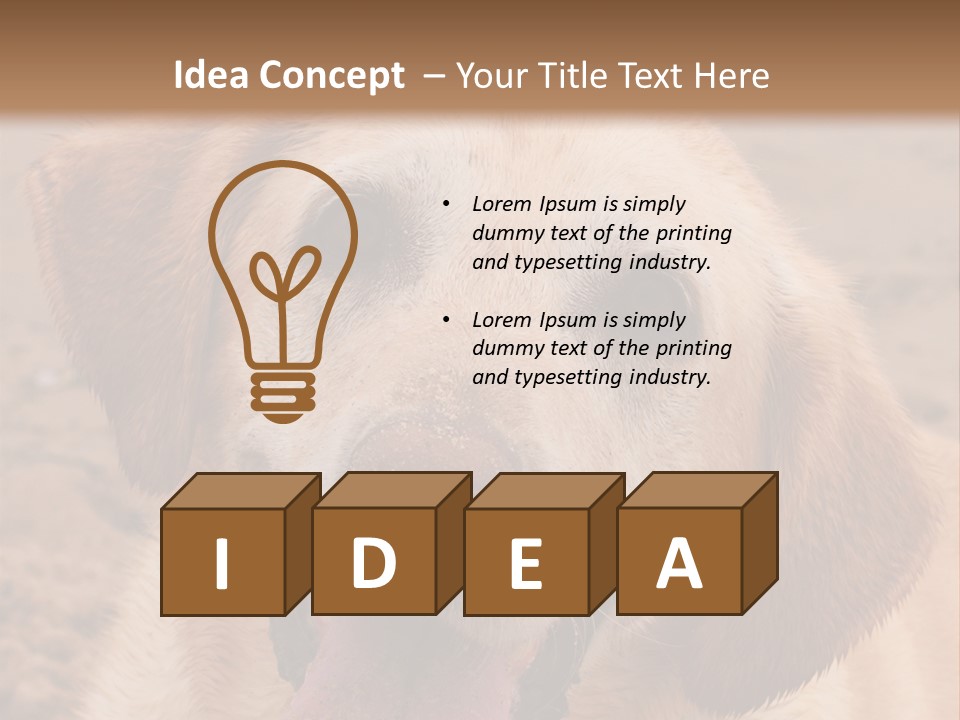 Cold Equipment Part PowerPoint Template