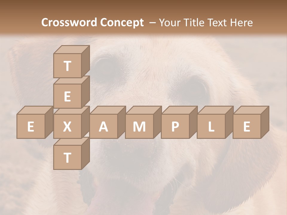 Cold Equipment Part PowerPoint Template