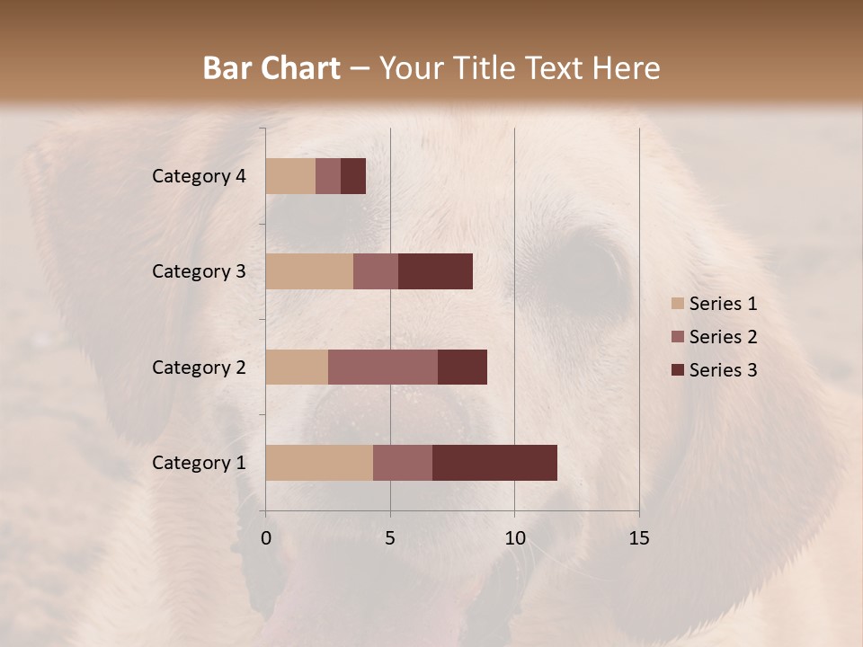 Cold Equipment Part PowerPoint Template