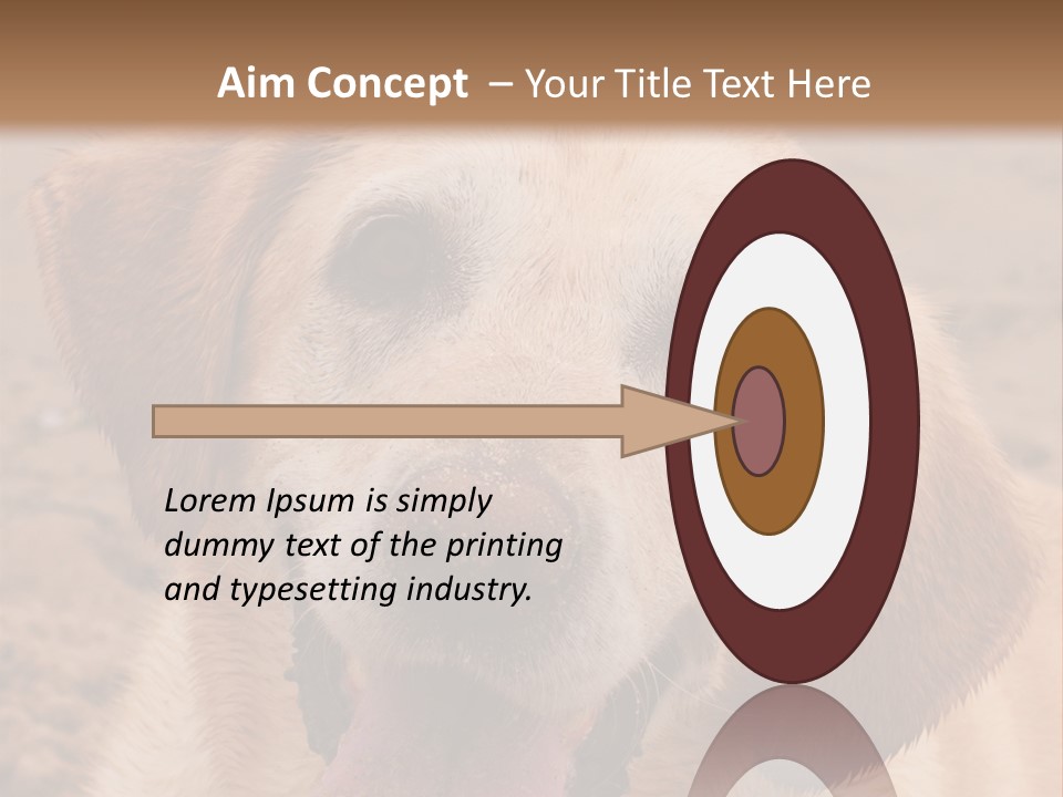 Cold Equipment Part PowerPoint Template