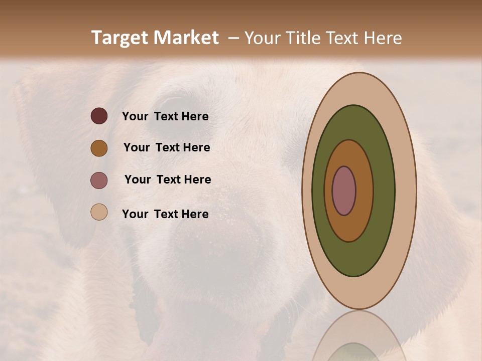 Cold Equipment Part PowerPoint Template