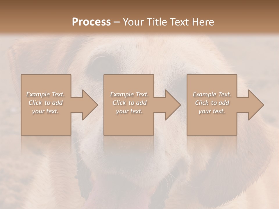 Cold Equipment Part PowerPoint Template