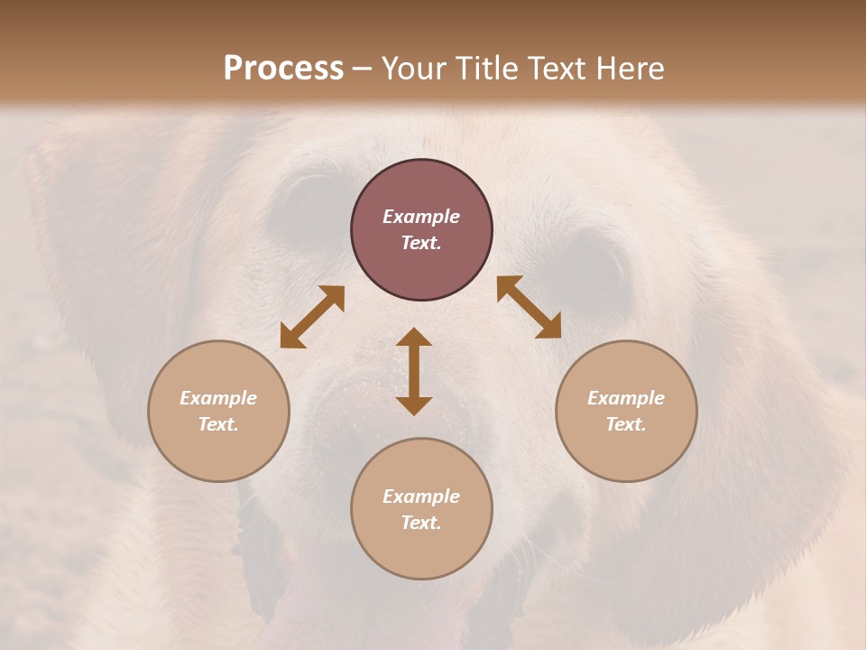 Cold Equipment Part PowerPoint Template