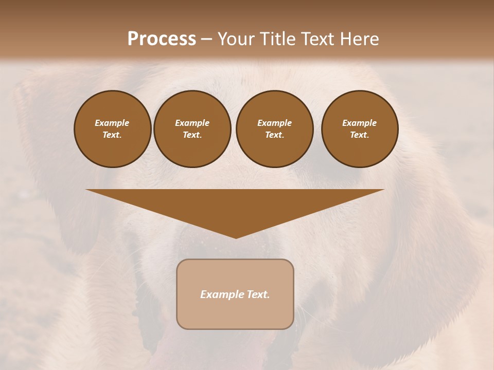 Cold Equipment Part PowerPoint Template