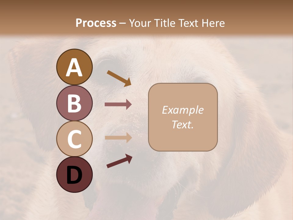 Cold Equipment Part PowerPoint Template