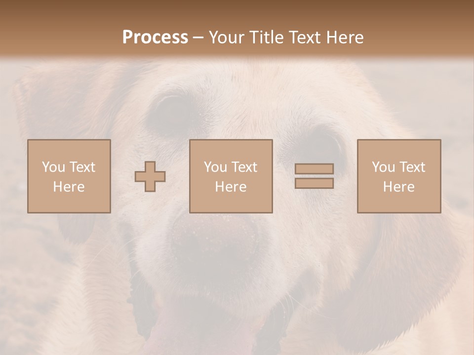 Cold Equipment Part PowerPoint Template