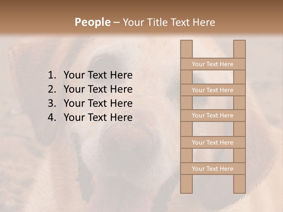 Cold Equipment Part PowerPoint Template