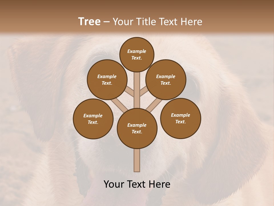 Cold Equipment Part PowerPoint Template