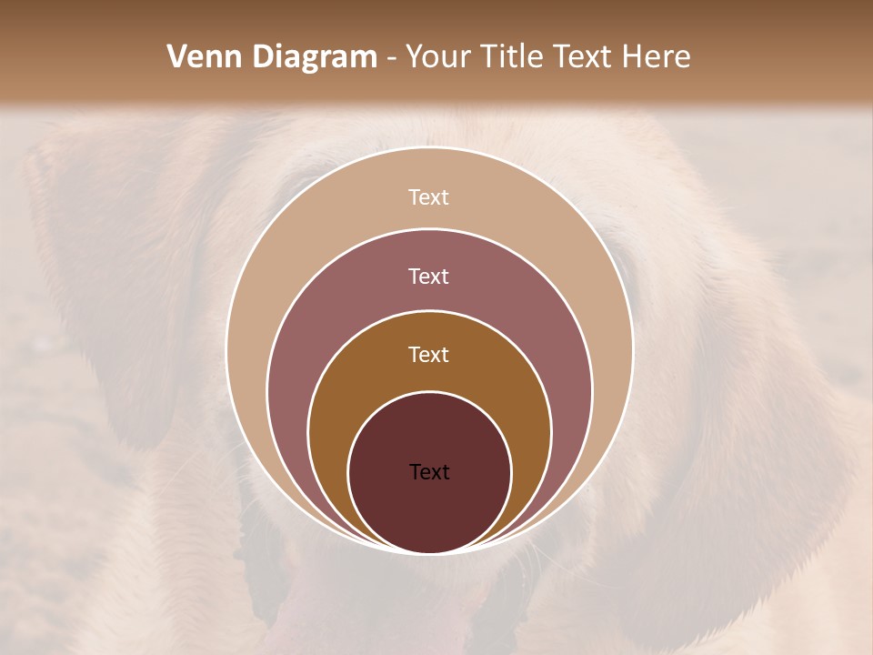 Cold Equipment Part PowerPoint Template