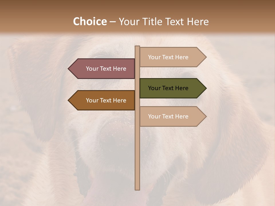 Cold Equipment Part PowerPoint Template